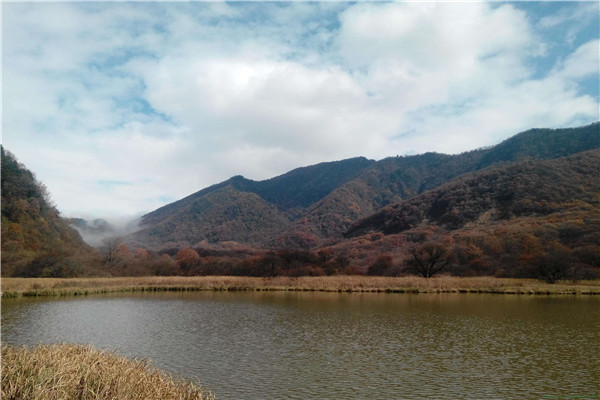 大九湖 大九湖