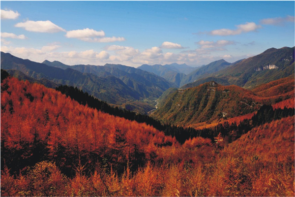 五峰后河 五峰后河