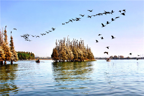 东湖落雁景区 东湖落雁景区