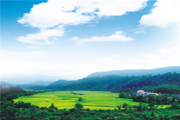绿林山