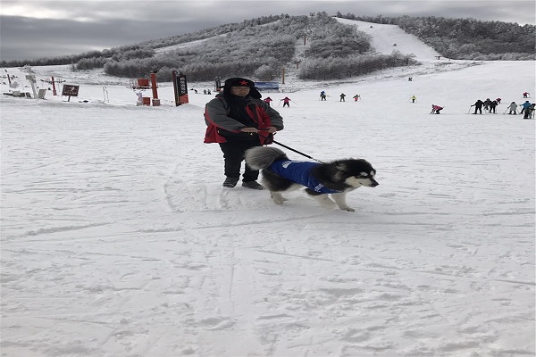 武汉爱飞客与中航通飞神农架滑雪拓展
