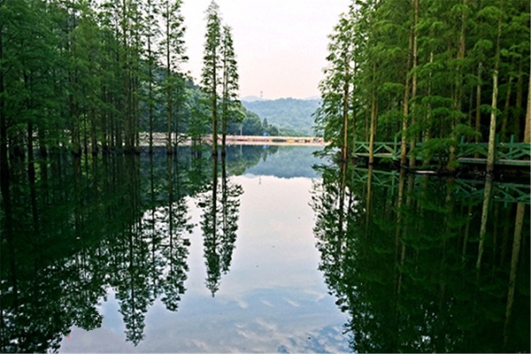 九真山拓展基地 九真山拓展基地
