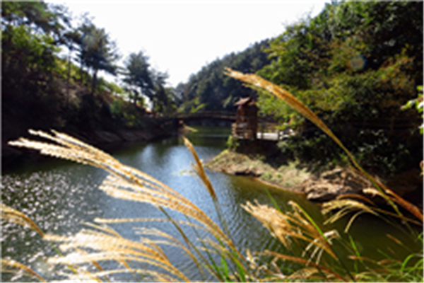 锦里沟拓展基地