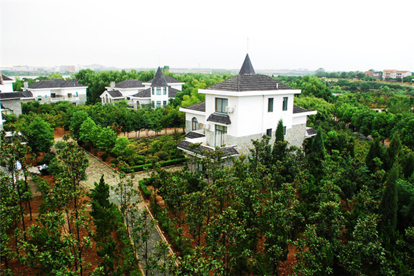 凤翔岛拓展基地 凤翔岛拓展基地