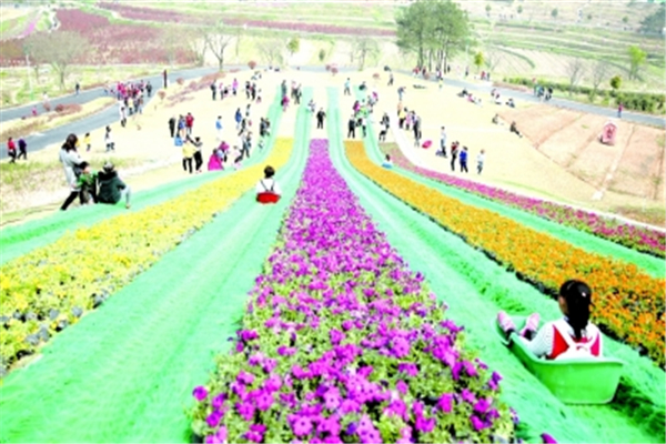 花海乐园拓展基地 花海乐园拓展基地