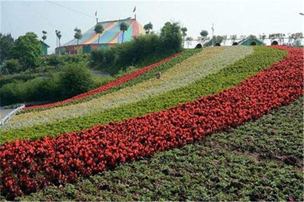 花海乐园拓展基地 花海乐园拓展基地