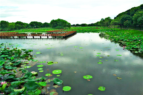 洪湖蓝田生态风景区 洪湖蓝田生态风景区