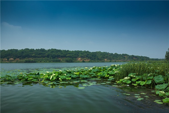 后官湖湿地公园