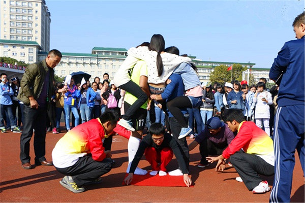 翻树叶