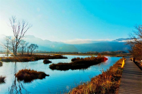 神农架旅游，武汉到神农架旅游