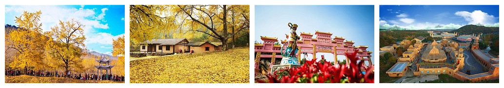 周边县市,武汉到随州旅游,西游记公园,银杏谷旅游,武汉到随州银杏谷旅游