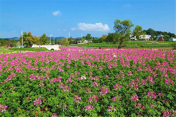 木兰花乡风景区