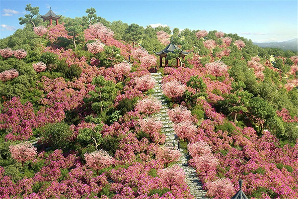 四季花海.中华情园